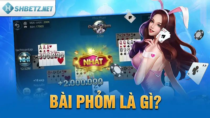 Bài Phỏm là gì