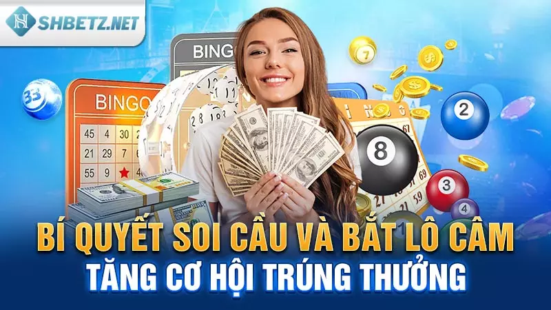 Bí quyết soi cầu và bắt lô câm tăng cơ hội trúng thưởng