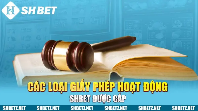 Các loại giấy phép hoạt động SHBET được cấp