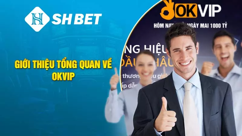 Giới thiệu tổng quan về OKVIP