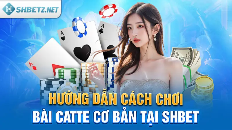 Hướng dẫn cách chơi bài Catte cơ bản tại SHBET