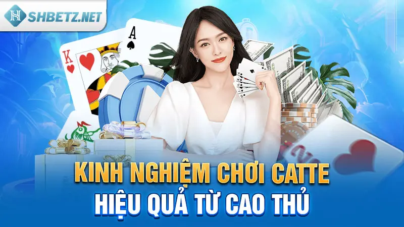 Kinh nghiệm chơi Catte hiệu quả từ cao thủ