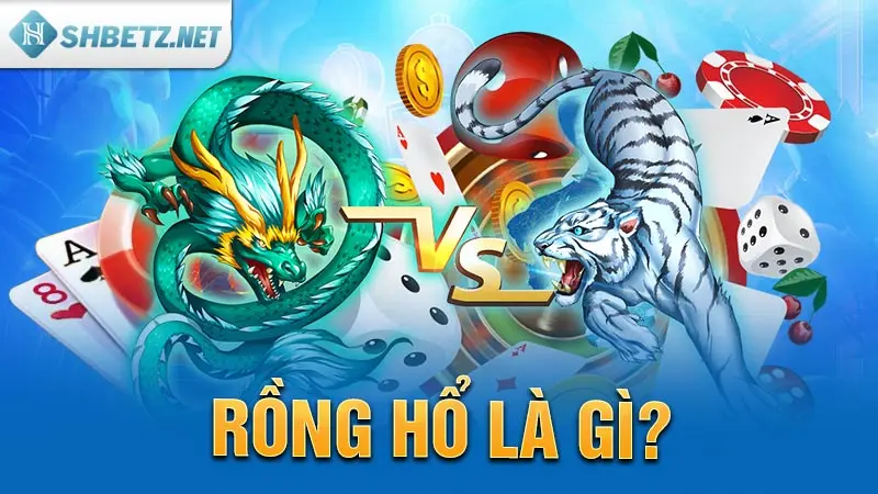 Rồng Hổ là gì?