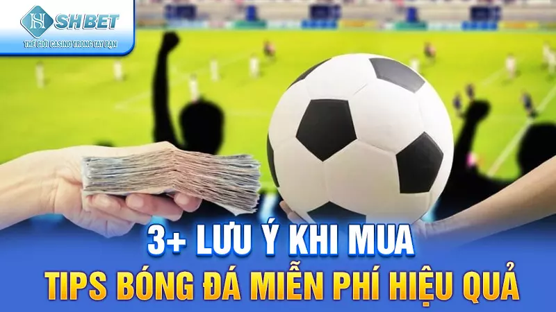 3+ lưu ý khi mua tips bóng đá miễn phí hiệu quả