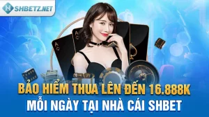 Bảo Hiểm Thua Lên Đến 16.888K Mỗi Ngày Tại Nhà Cái SHBET