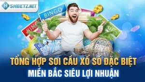 Tổng Hợp Soi Cầu Xổ Số Đặc Biệt Miền Bắc Siêu Lợi Nhuận